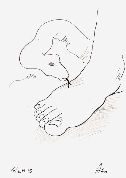 Adam