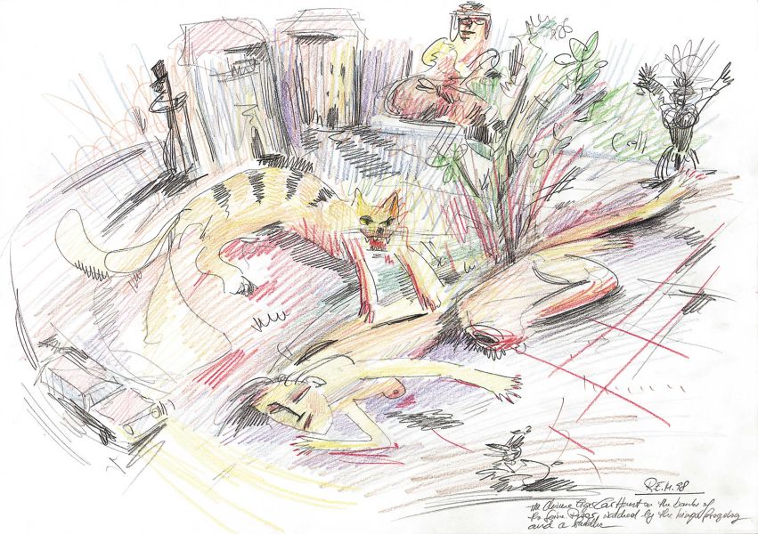 The chinese tiger